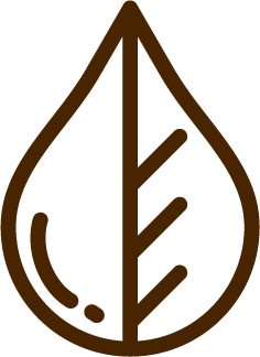 Organic growth icon for Huruma Cocoa beans brown