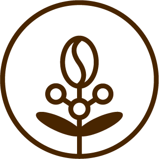 Single-origin farming icon for single-origin Cocoa beans from Hurma cocoa brown